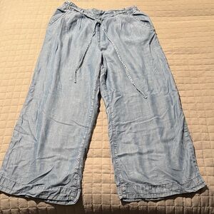 American Eagle Outfitters Light Blue Wide Leg Drawstring Trousers